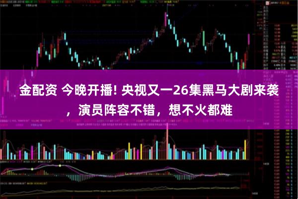 金配资 今晚开播! 央视又一26集黑马大剧来袭，演员阵容不错，想不火都难