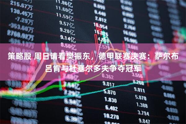 策略股 周日请看樊振东，德甲联赛决赛：萨尔布吕肯与杜塞尔多夫争夺冠军