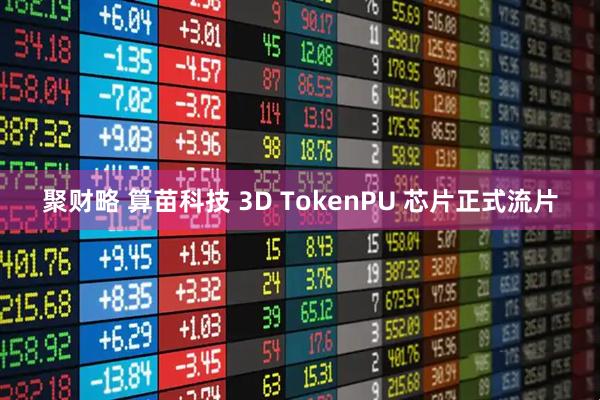 聚财略 算苗科技 3D TokenPU 芯片正式流片